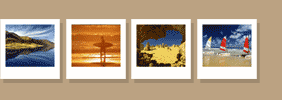 Exhibitions - By Mark Robinson