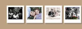Wedding Portfolios - By Mark Robinson